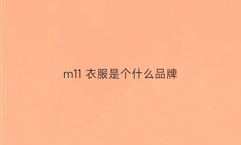 m11衣服是个什么品牌(m11是什么码)